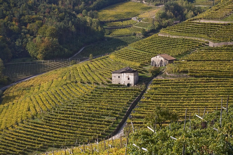 ferrari bollicine di montagna